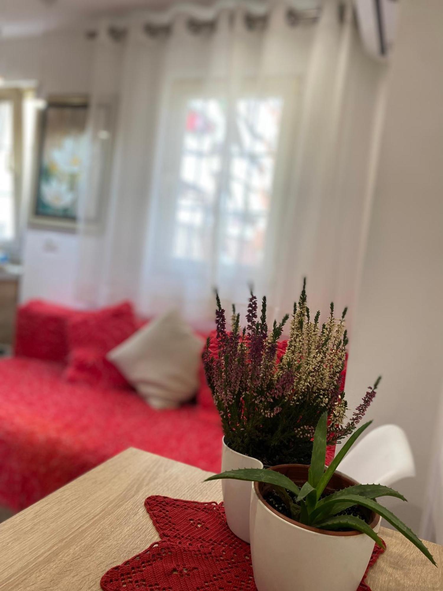Central Welcoming Apartment In Tirana Zewnętrze zdjęcie